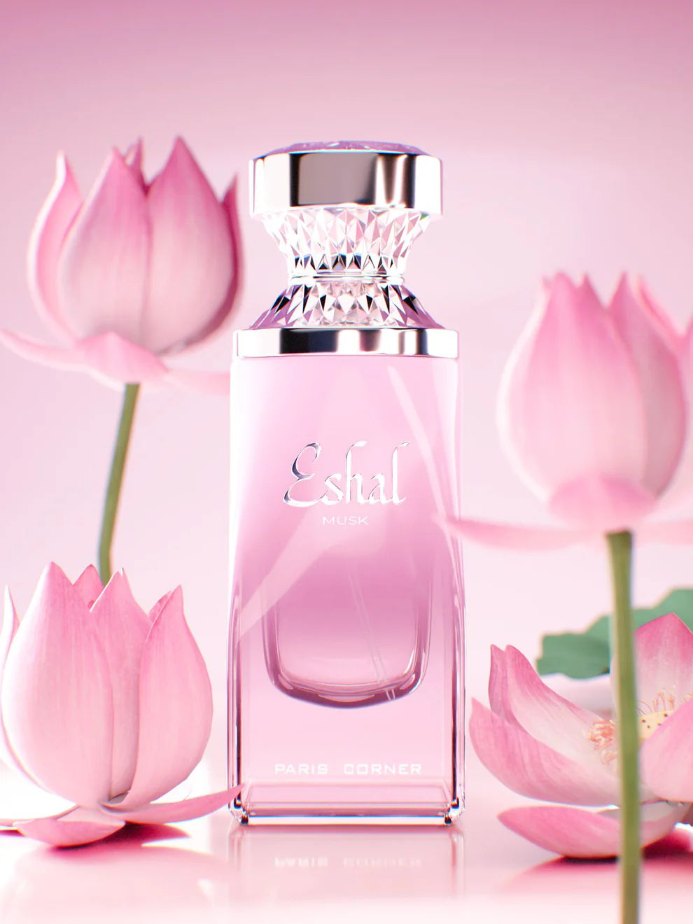 Paris Corner - Eshal Musk