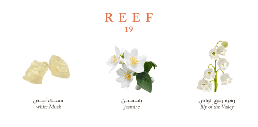 Reef 19 - 100ml