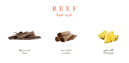 Reef - Arab Obaiya 100ml