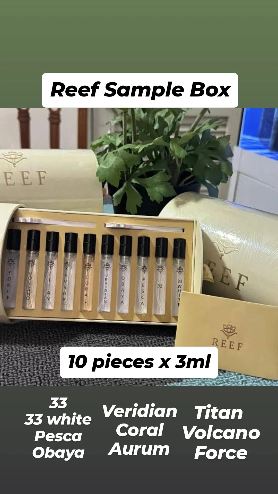 Reef Sample box