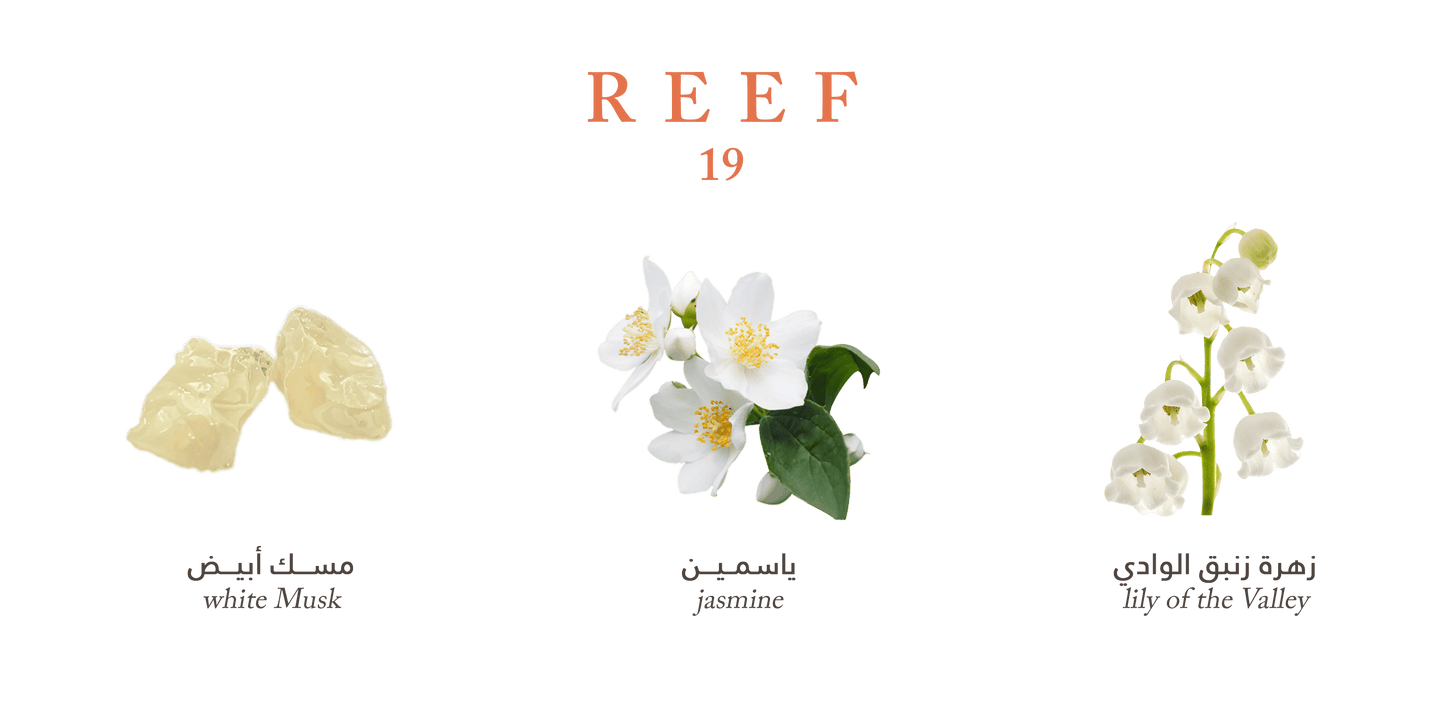 Reef 19 - 100ml