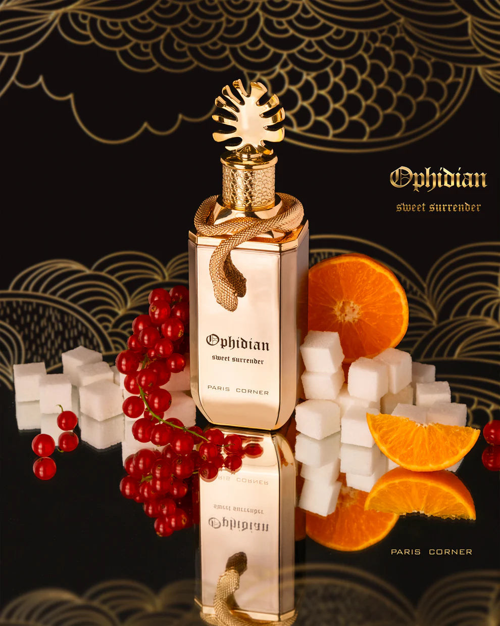 Paris Corner - Ophidian Sweet Surrender