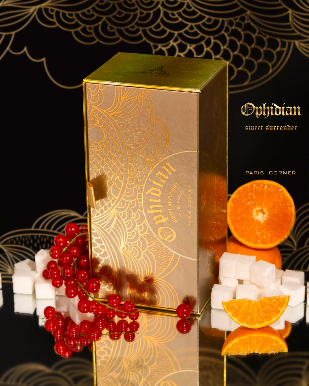 Paris Corner - Ophidian Sweet Surrender